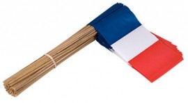 Vlaggetje op stok papier Frankrijk