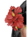 BloemHawairood__1