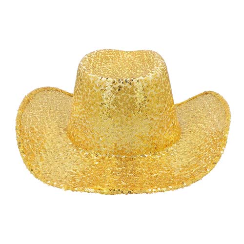HoedcowboyRodeopartygoud__5