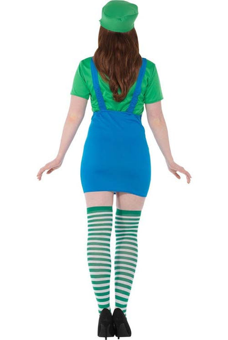 LoodgieterLuigidamemtS__3