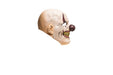 MaskerrubberFunnyoldman__3