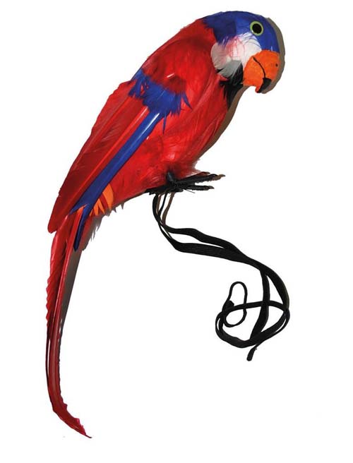 Papegaai 35cm (kan op schouder)
