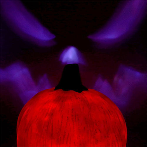 Pompoen 44cm (geanimeerd)