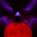 Pompoen44cm(geanimeerd)__4