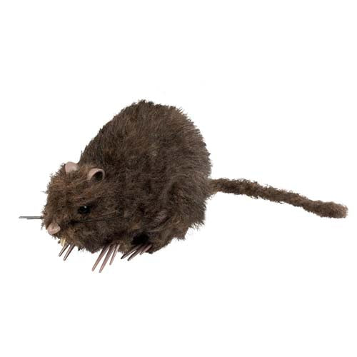 Rat15x8cm__1