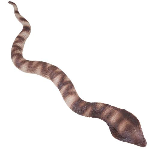 Slangcobra__3