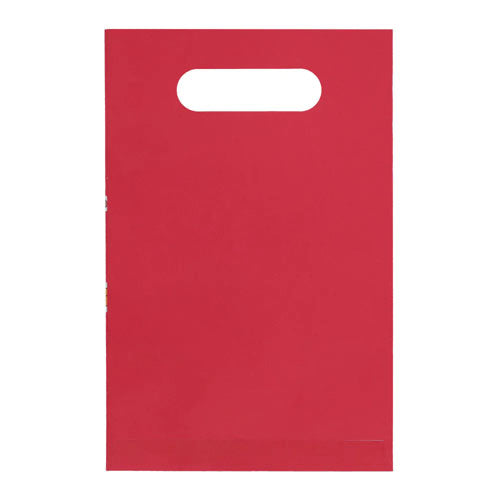 Uitdeelzakjes papier Sinterklaas 10st.