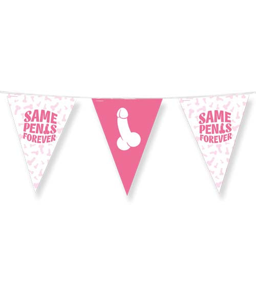 Vlaggenlijn-Samepenisforever(10m)__1