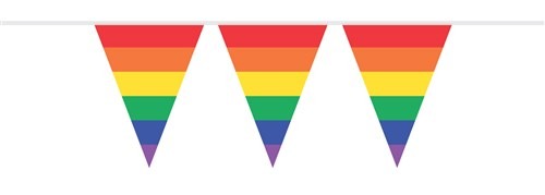 Vlaggenlijn regenboog 10m