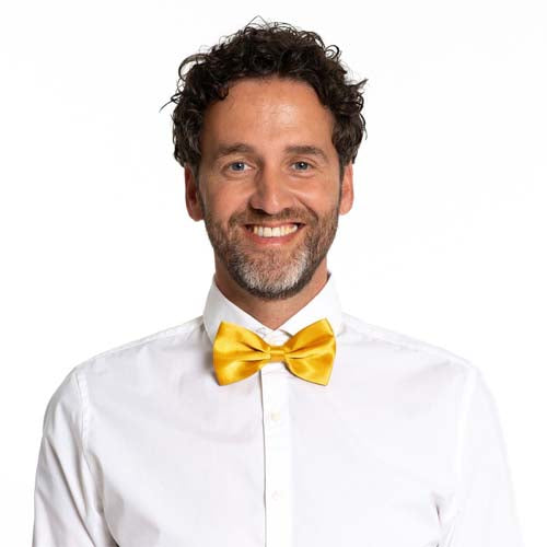 VlinderstrikgoudPC__1