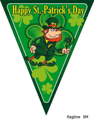 Happy St. Patrick's Day vlaggenlijn 5m.