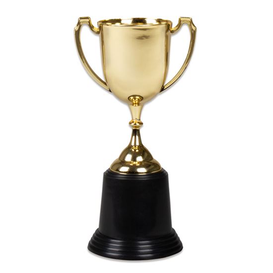 Trofee goud 22cm