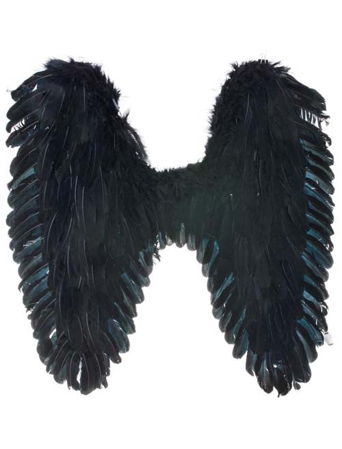 Vleugels met veren zwart 65cm